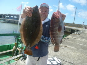 マハタ・ヒラメ