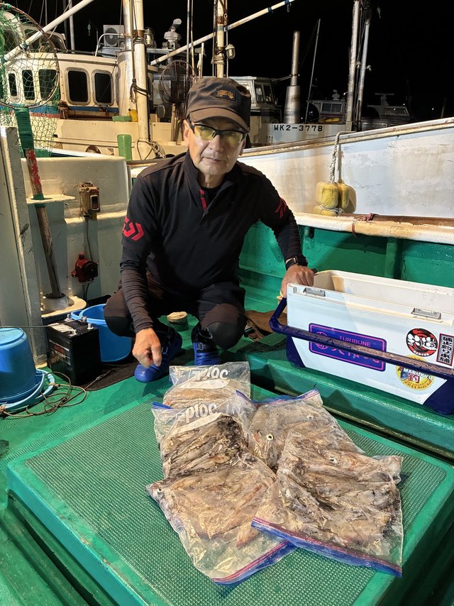 アカイカ(ケンサキイカ)