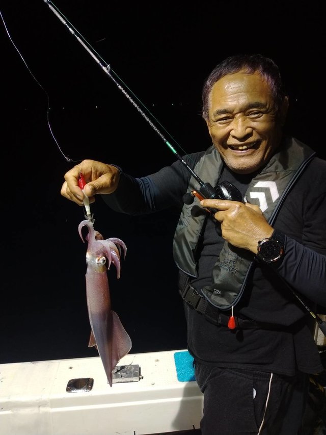 イカ(ヤリイカ)