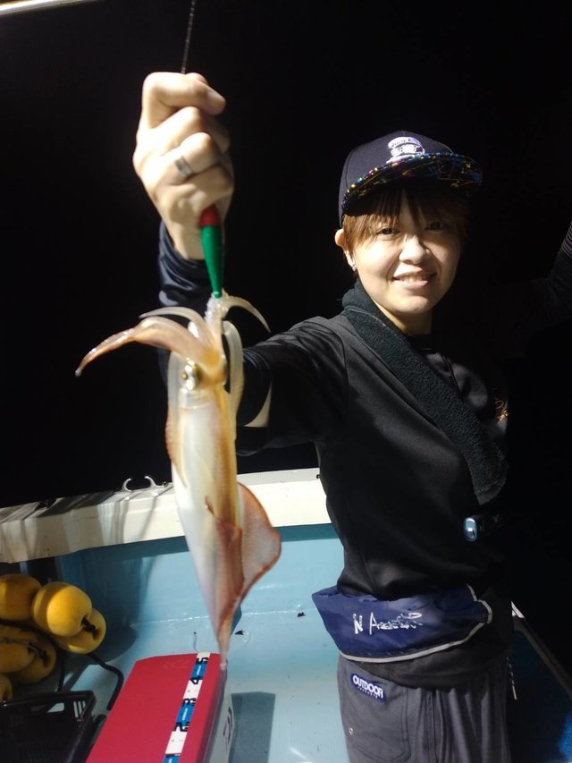 イカ(ヤリイカ)