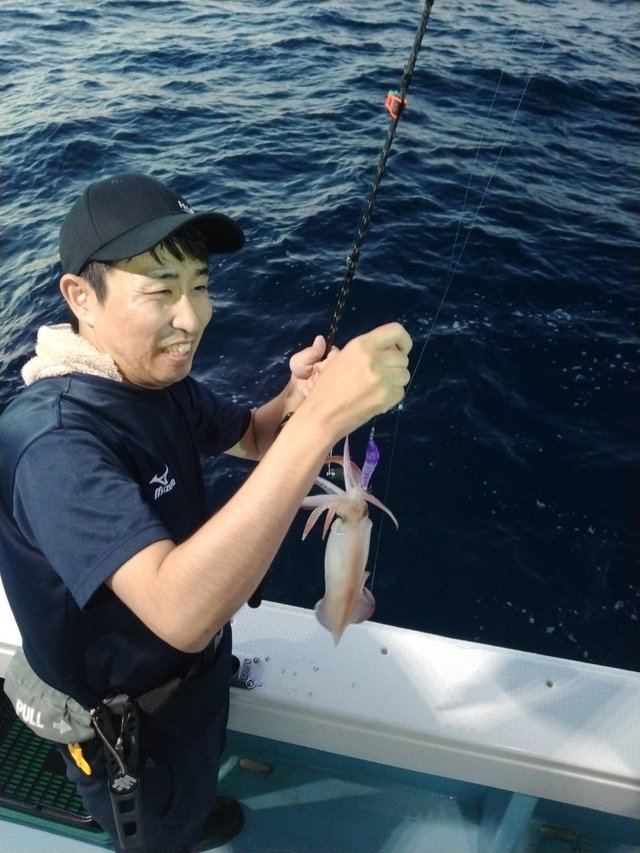 イカ(ヤリイカ)