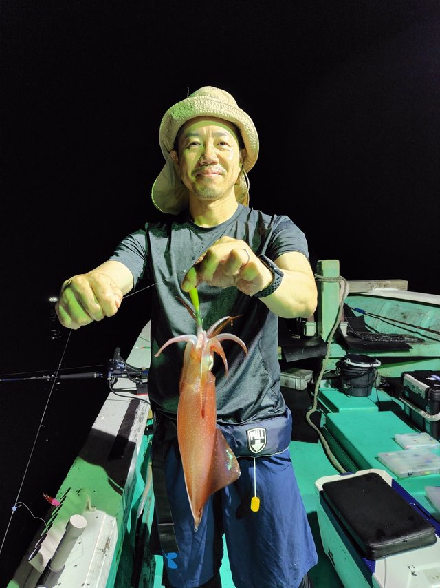 シロイカ(ケンサキイカ)