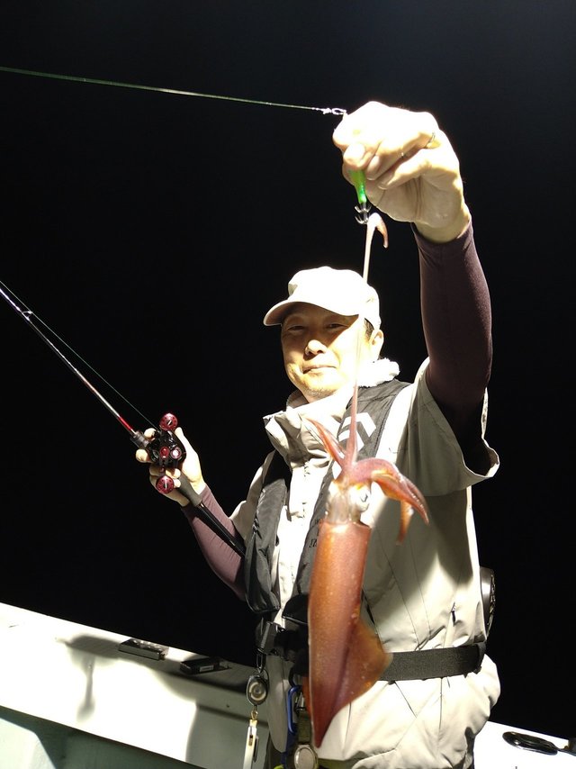 ケンサキ(ケンサキイカ)