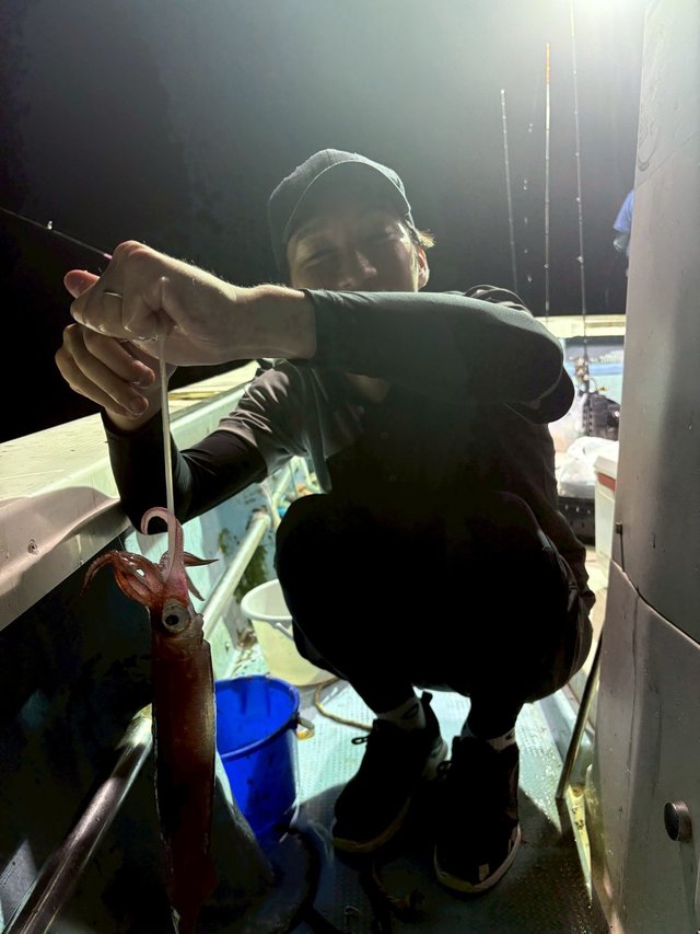 マイカ(ケンサキイカ)