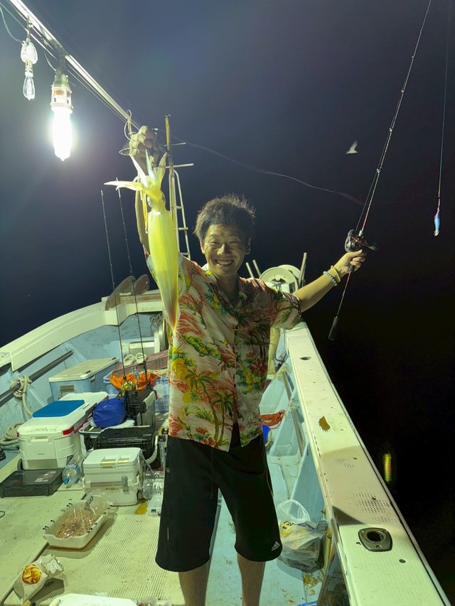 マイカ(ケンサキイカ)