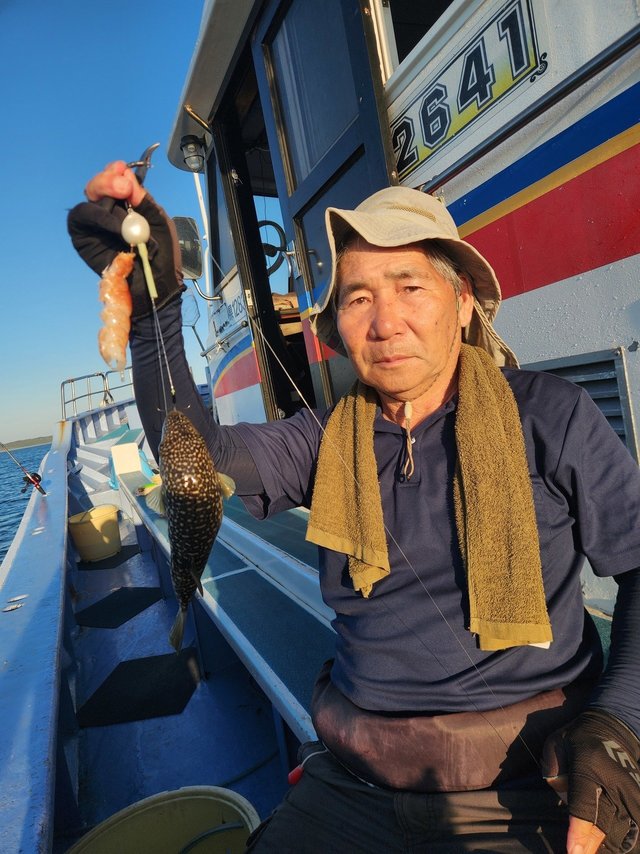 ショウサイフグ