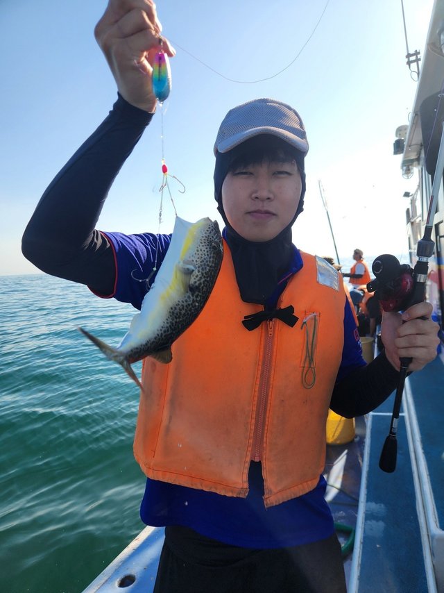 ショウサイフグ