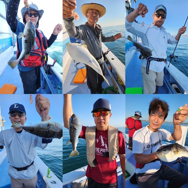 ショウサイフグ