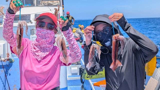 スルメ(スルメイカ)