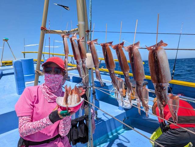 スルメ(スルメイカ)