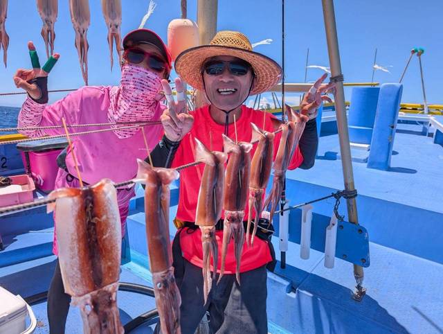 スルメ(スルメイカ)