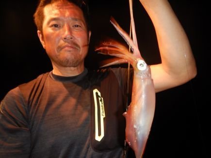 シロイカ(ケンサキイカ)