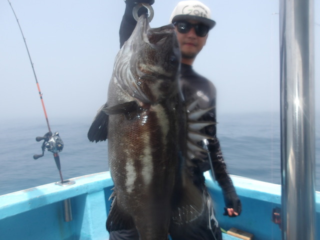 イシナギ(オオクチイシナギ)