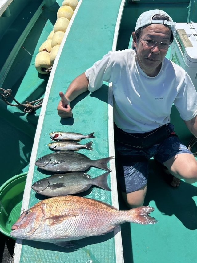 マダイ・メジナ・イサキ