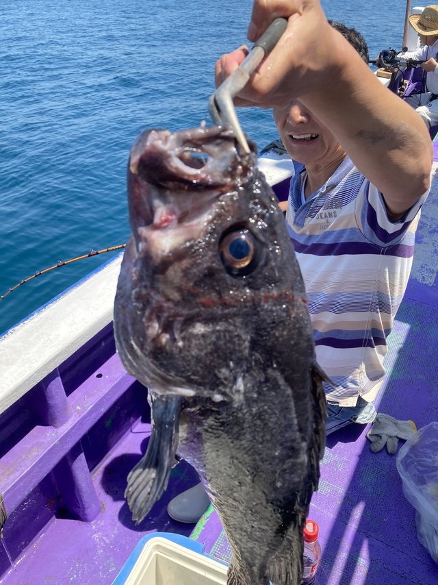 ソイ(クロソイ)