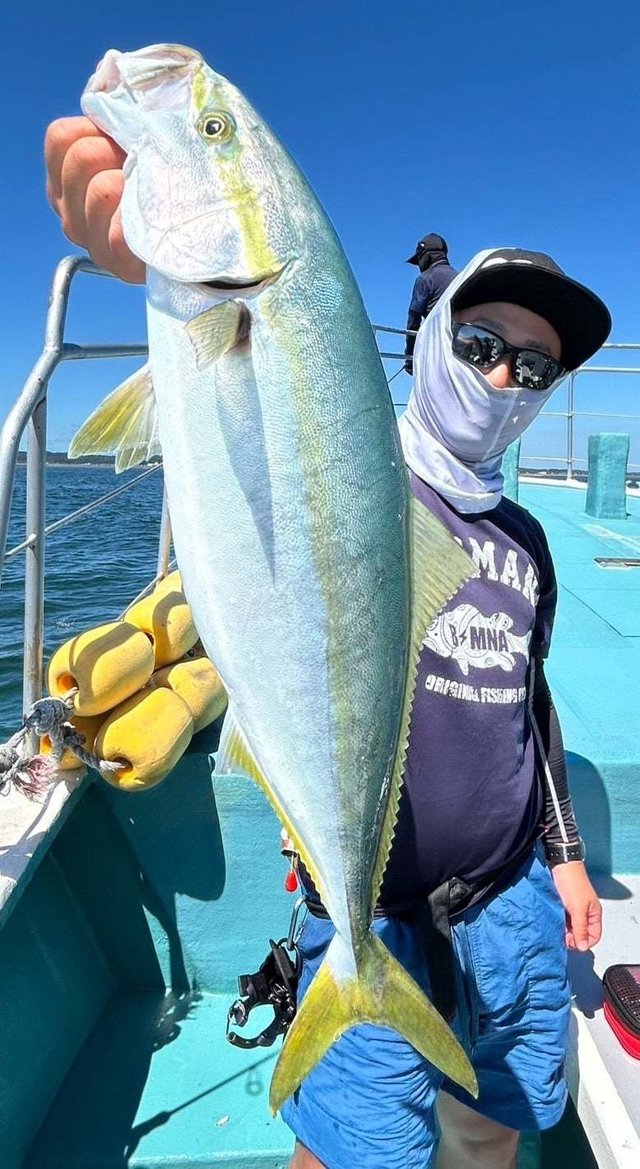 サンパク(ブリ)