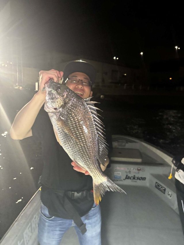 キビレ(キチヌ)