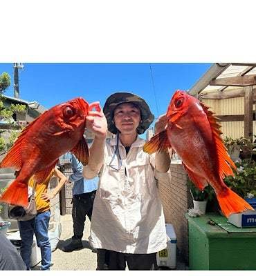 キントキ(チカメキントキ)