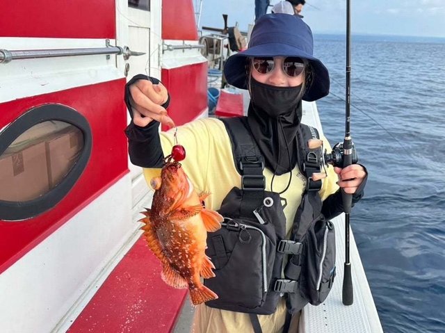 ウッカリカサゴ