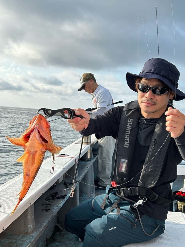 ウッカリカサゴ