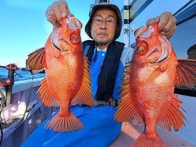 キントキ(チカメキントキ)