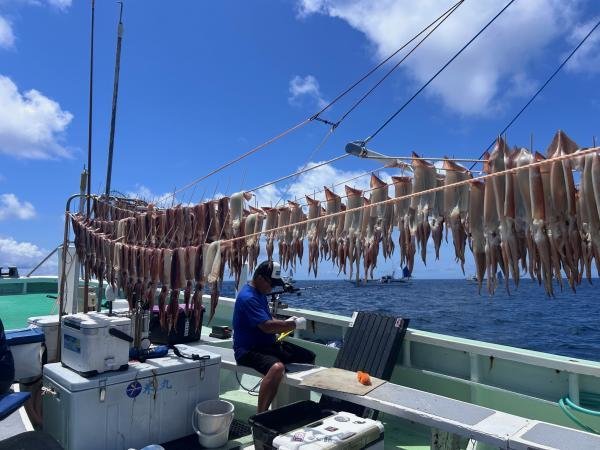 スルメ(スルメイカ)