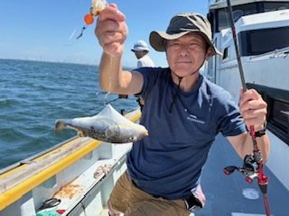 ショウサイフグ