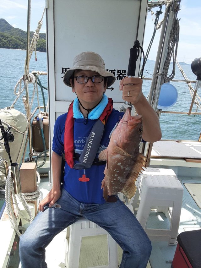 アコウ(キジハタ)