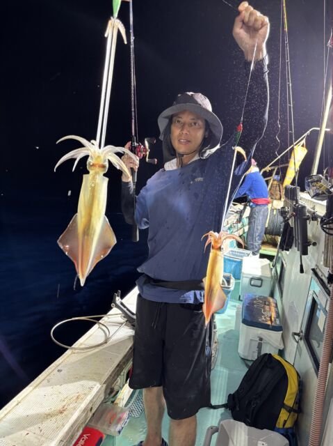 マイカ(ケンサキイカ)