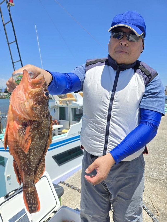 ウッカリカサゴ