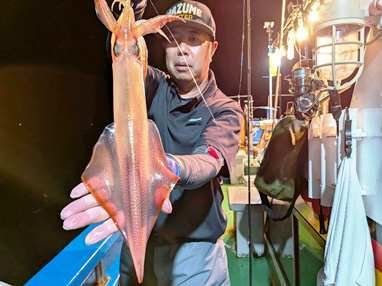 マイカ(ケンサキイカ)