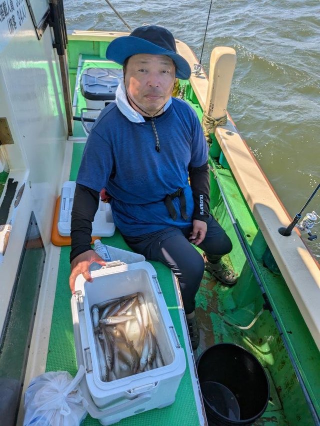 シロキス(シロギス)