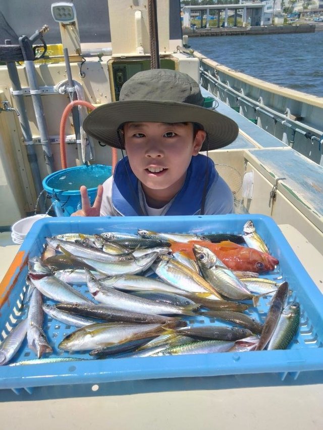 マアジ・カサゴ