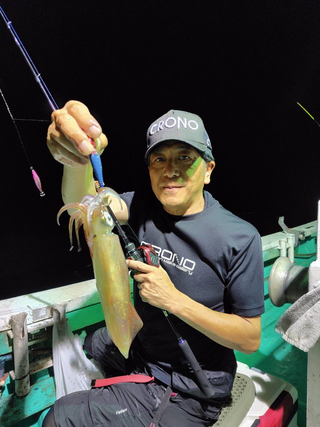 シロイカ(ケンサキイカ)