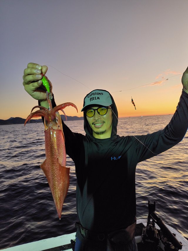 シロイカ(ケンサキイカ)