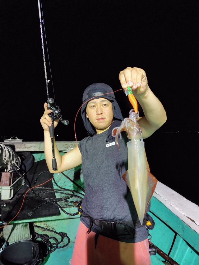 シロイカ(ケンサキイカ)