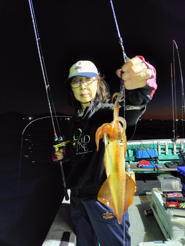 シロイカ(ケンサキイカ)