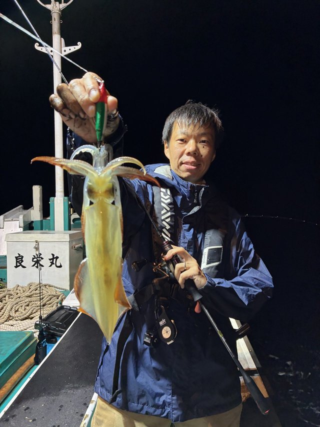 アカイカ(ケンサキイカ)