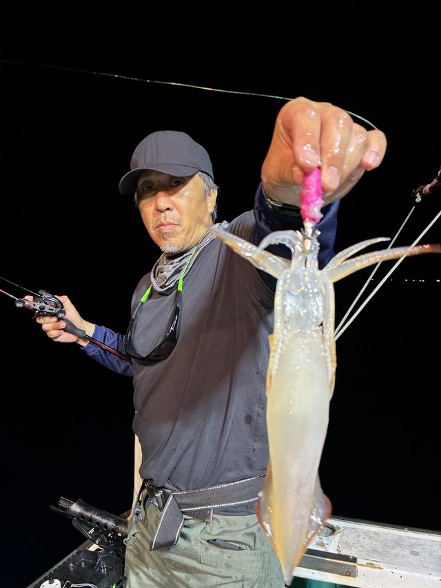 アカイカ(ケンサキイカ)