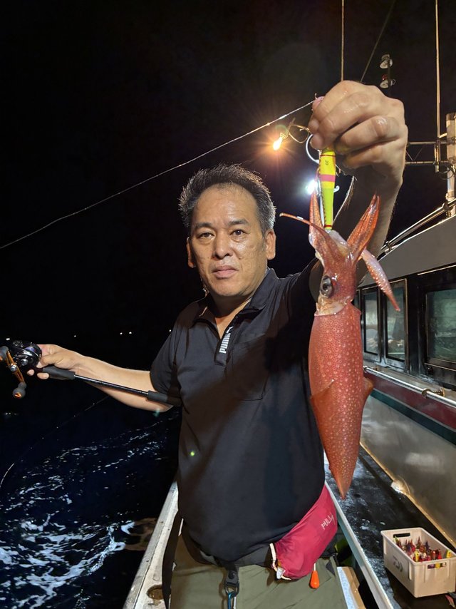 アカイカ(ケンサキイカ)