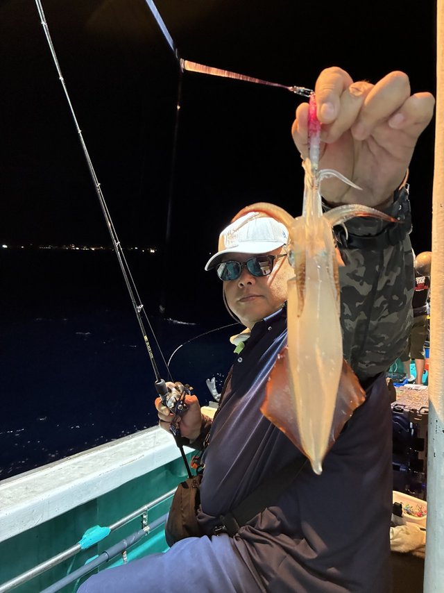 アカイカ(ケンサキイカ)