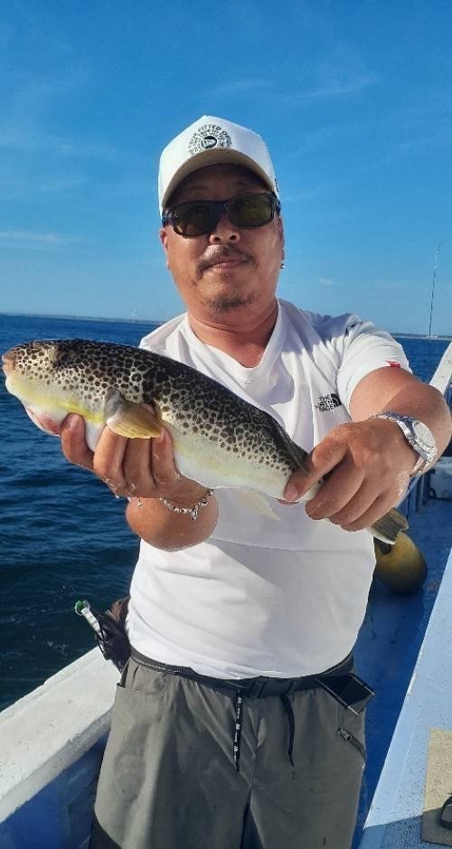 ショウサイフグ