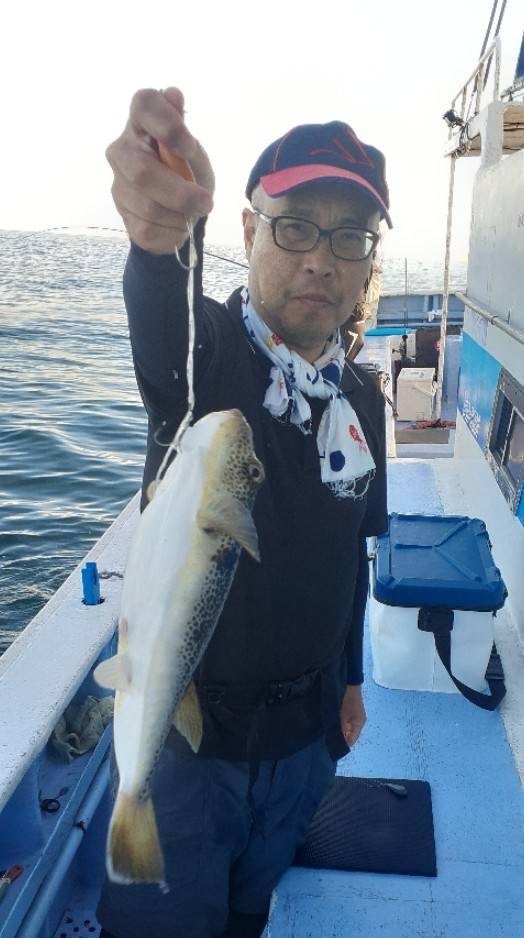 ショウサイフグ