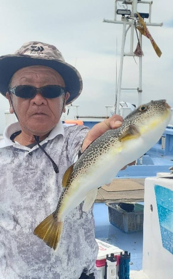 ショウサイフグ