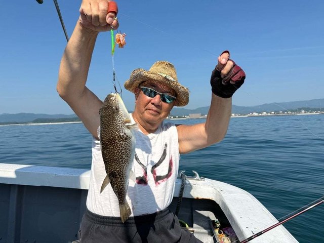 ショウサイフク(ショウサイフグ)