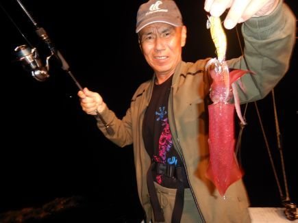 シロイカ(ケンサキイカ)