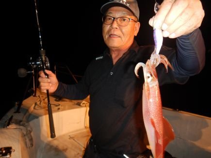 シロイカ(ケンサキイカ)