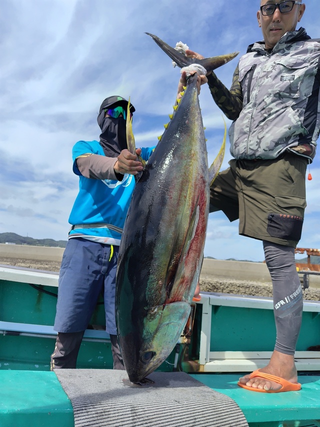 キハダマグロ(キハダ)