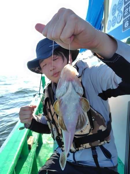 ホンコチ(マゴチ)