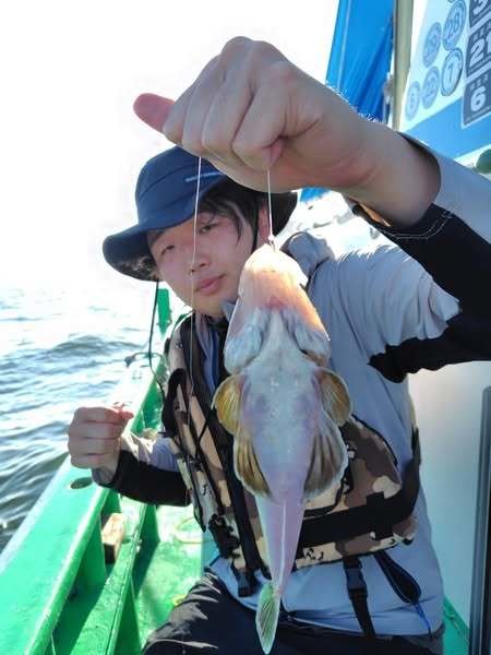 ホンコチ(マゴチ)